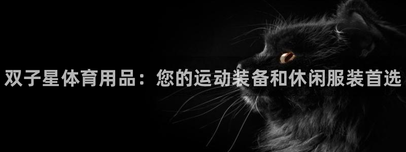 欧陆娱乐计划预测软件下载：双子星体育用品：您的运动装