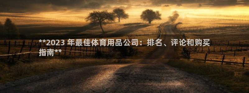 欧陆娱乐怎么样：**2023 年最佳体育用品公司：排