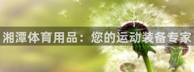 欧陆娱乐挂机项目
