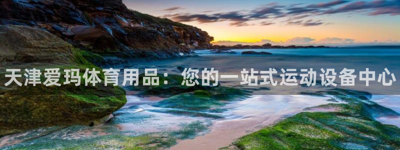 欧陆娱乐总代理是谁：天津爱玛体育用品：您的一站式运动设备中心