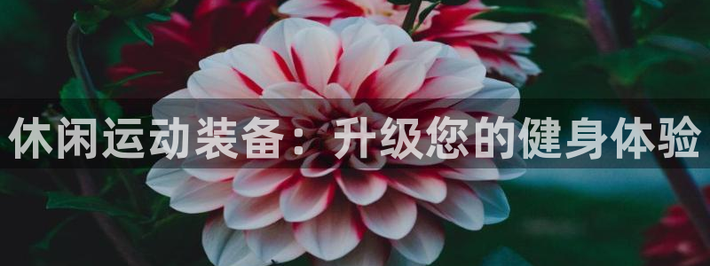 欧陆娱乐微信：休闲运动装备：升级您的健身体验