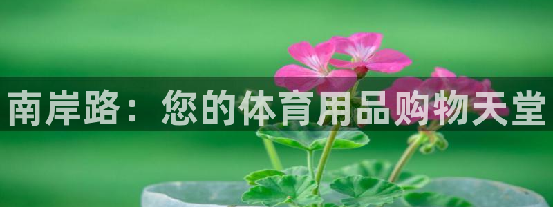 欧陆娱乐请输入USDT地址：南岸路：您的体育用品购物