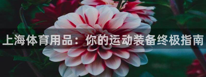 欧陆娱乐登录官网：上海体育用品：你的运动装备终极指南