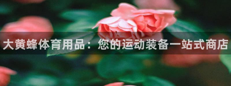 欧陆娱乐计划预测软件下载：大黄蜂体育用品：您的运动装备一站式