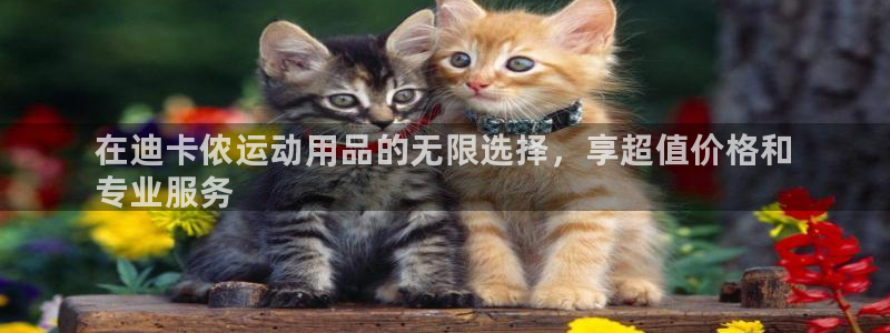 欧陆娱乐不让提现：在迪卡侬运动用品的无限选择，享超值价格和
