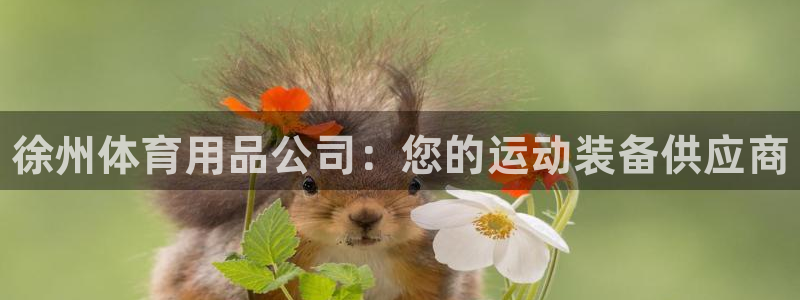 欧陆娱乐注册代理多少钱啊：徐州体育用品公司：您的运动装备供应
