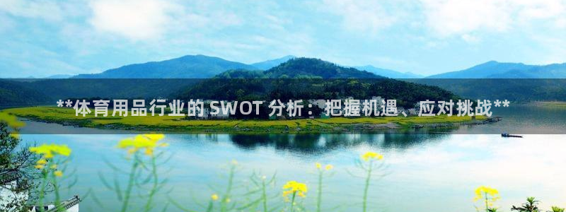 欧陆娱乐不让提现：**体育用品行业的 SWOT 分析：把握机