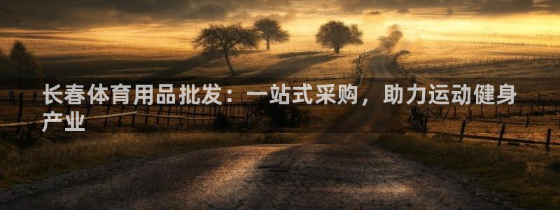 欧陆娱乐共创美好：长春体育用品批发：一站式采购，助力运动健身