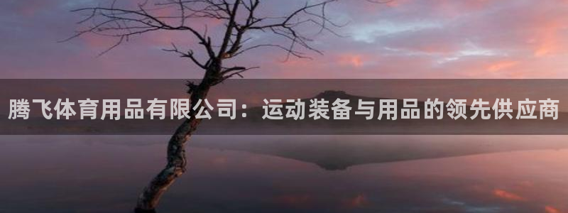 欧陆娱乐注册代理多少钱：腾飞体育用品有限公司：运动装