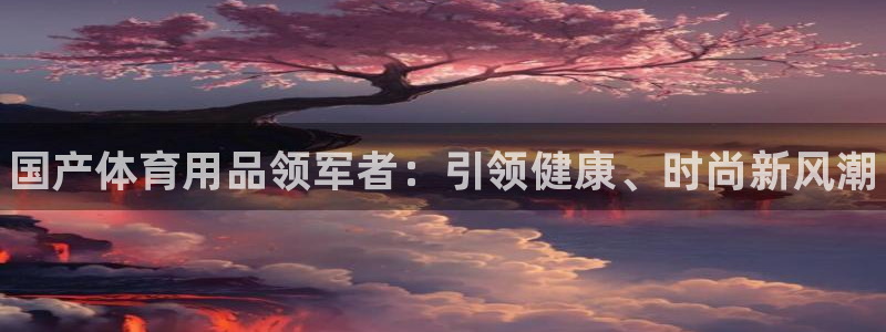 欧陆娱乐怎么注册账号：国产体育用品领军者：引领健康、