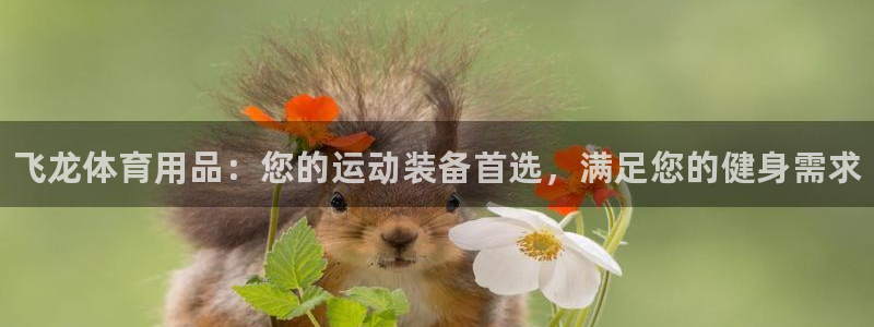 欧陆娱乐能提现嘛?：飞龙体育用品：您的运动装备首选，