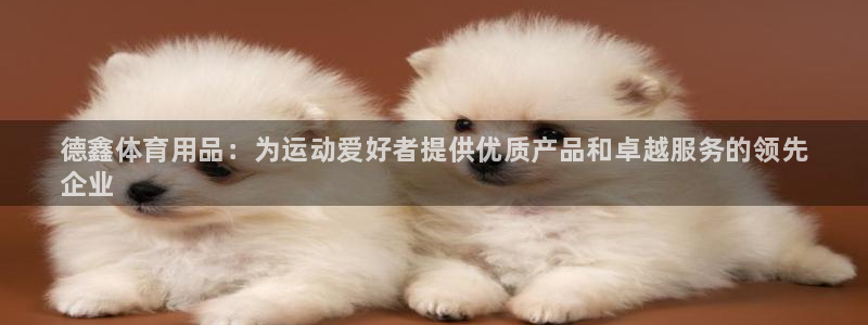 欧陆娱乐登陆平台下载：德鑫体育用品：为运动爱好者提供