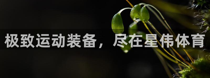 欧陆娱乐能赚钱吗现在：极致运动装备，尽在星伟体育