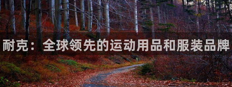 欧陆游戏平台：耐克：全球领先的运动用品和服装品牌